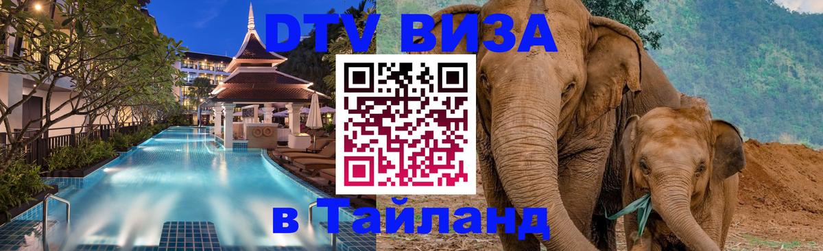 Сколько стоит DTV виза — актуальные цены, оформление даже без документов - Сыктывкар  20.11.2025 